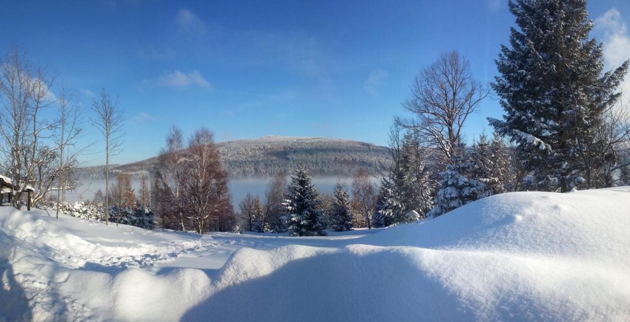 Willa Z Gwarantowanym Widokiem Na Gory Aleksander Panorama Świeradów-Zdrój Exterior foto